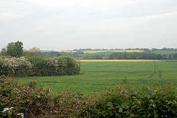 Countryside at Dean May 2011